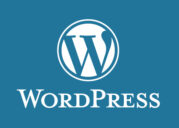 Jasa Pembayaran WordPress Aman dan Terpercaya