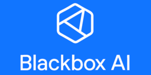 blackbox ai