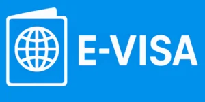 e-visa
