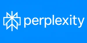 perplexity ai