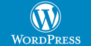 Jasa Pembayaran WordPress Aman, Terpercaya dan Anti Ribet