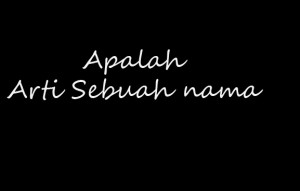masalah penamaan akun paypal